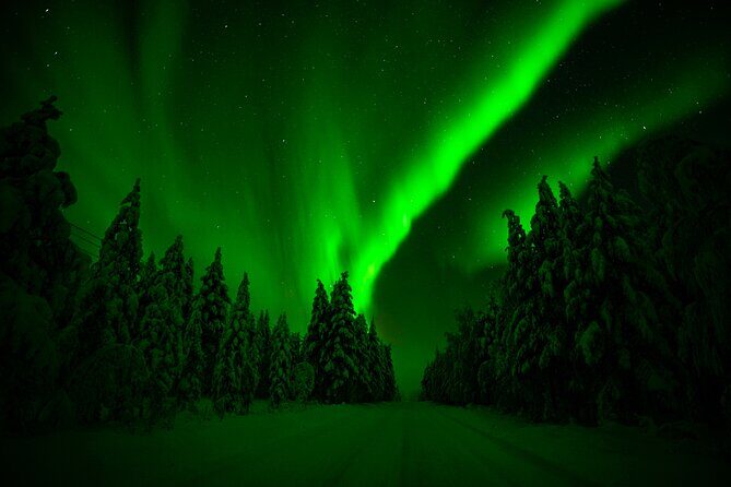 Northern Lights Snowmobile Tour - An In-Depth Look at the Northern Lights Snowmobile Tour