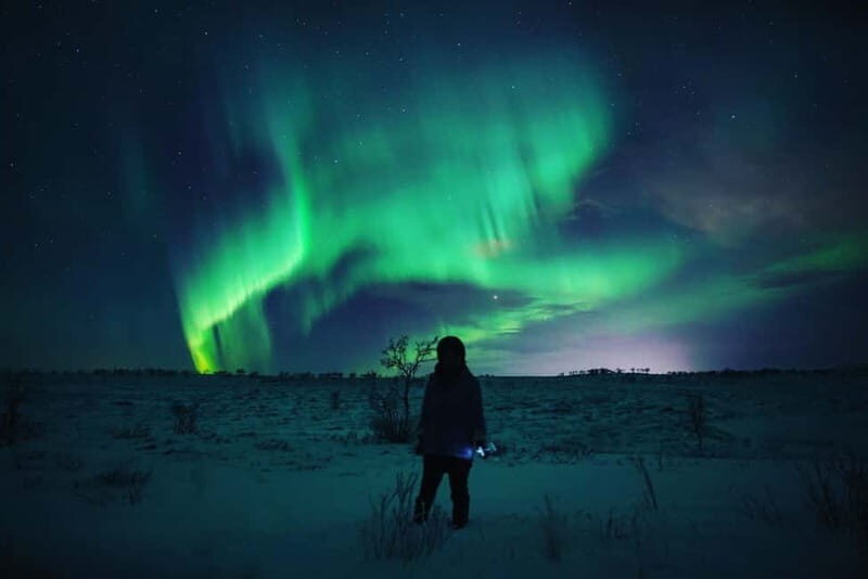 Northern Lights Spotting Tour from the Cruise Harbor - Key Points