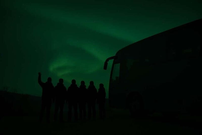 Northern Lights Spotting Tour from the Cruise Harbor - Is This Tour Right for You?