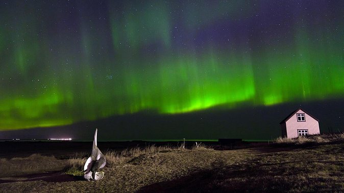 Northern Lights Tour From Reykjavik With Lifetime Guarantee - Booking and Cancellation Policies