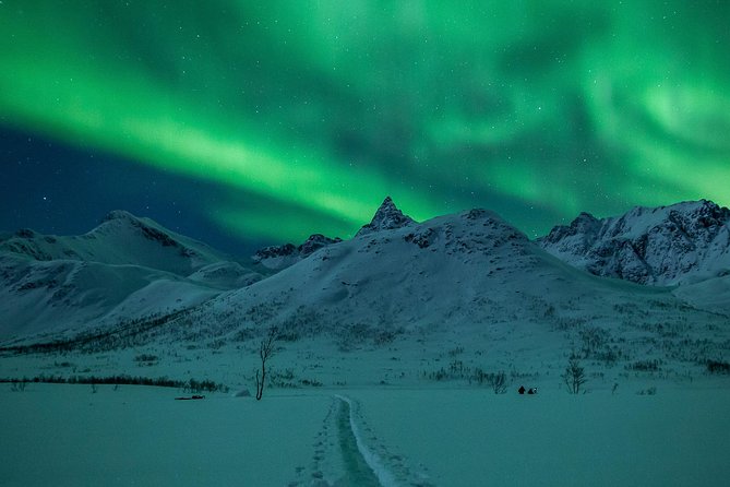 Northern Lights Tour From Tromsø - Meeting and Pickup Details