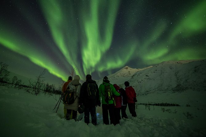 Northern Lights Tour From Tromsø - Tour Booking and Contact Information