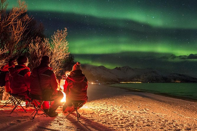 Northern Lights Tour From Tromsø - Frequently Asked Questions