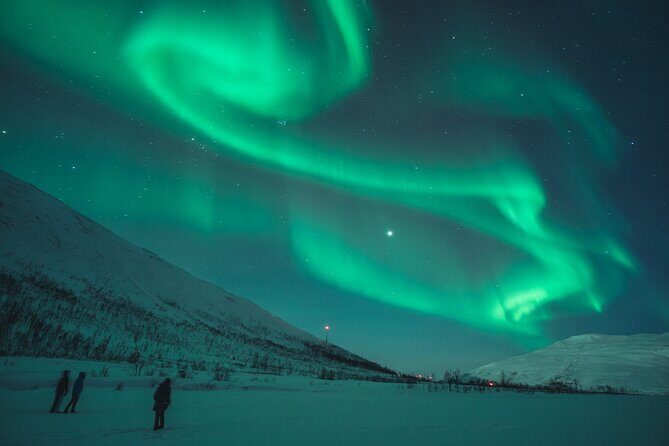 Northern Lights Tour in Tromso - The Sum Up