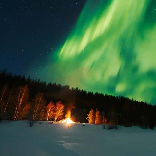 Northern Lights Tour Sleigh Ride - An In-Depth Look at the Northern Lights Sleigh Ride