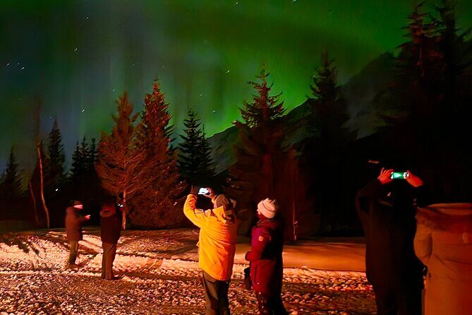 Northern Lights Tour, Tromso, Local Guide, Private Basecamp - Reviews: Authentic Voices