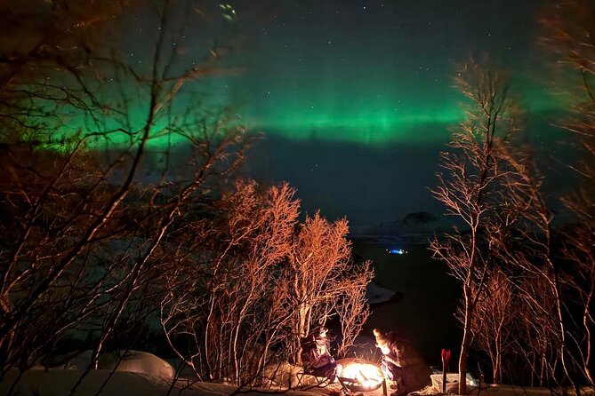 Northern Lights Tour With Hot Food and Drinks in Tromso - Additional Information About the Tour