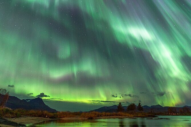 Northern Lights Tour with Local Guide and Photos - Final Thoughts: Who Should Consider This Tour?