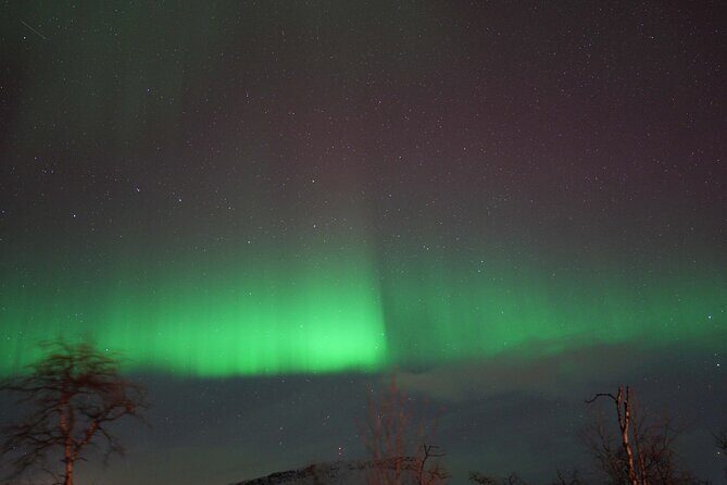 Northern Lights Tour with Local Guide and Photos - FAQs