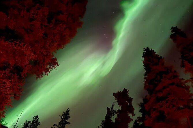 Northern Lights Viewing in a Semi-Private Dome in Whitehorse - Practical Tips for Participants