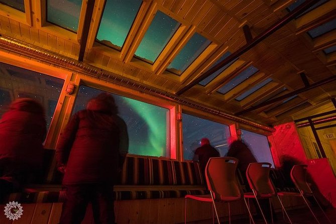 Northern Lights Winter Nights Adventure - Accessibility and Participation