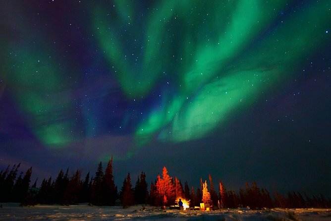 Northern Lights Winter Nights Adventure - Booking Information