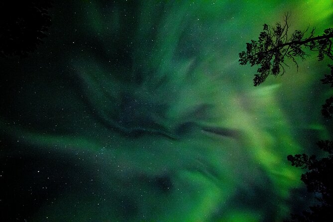 Northern Lights With Hot Chocolate, Donuts and Icelandic Beer - Booking and Flexibility