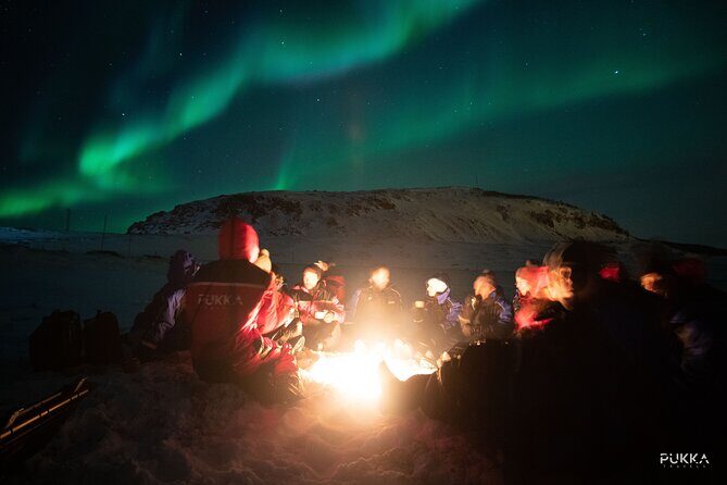 Northern Lights x Mini Bus Chase - Who Should Consider This Tour?