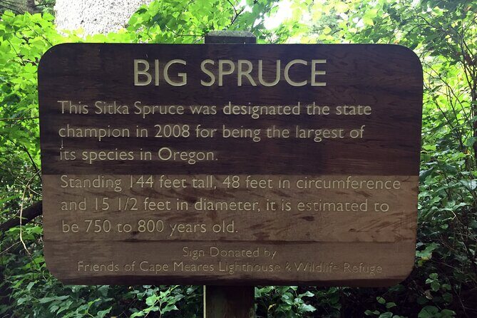 Northern Oregon Coast Day Trip to Three Capes Scenic Loop - Is This Tour Worth It?