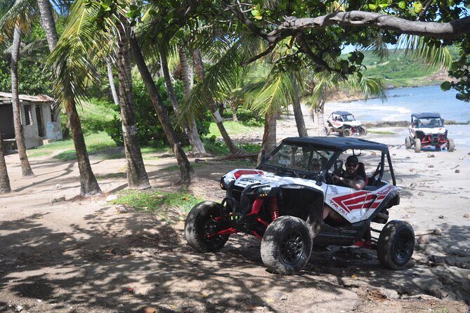 Northern Sights - Buggy in the North - Authentic Insights from Travelers