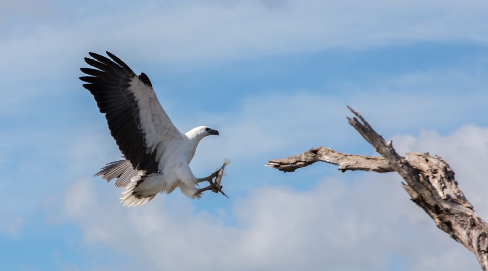 Northern Territory: Corroboree Billabong Nature Cruises - Meetings and Important Information