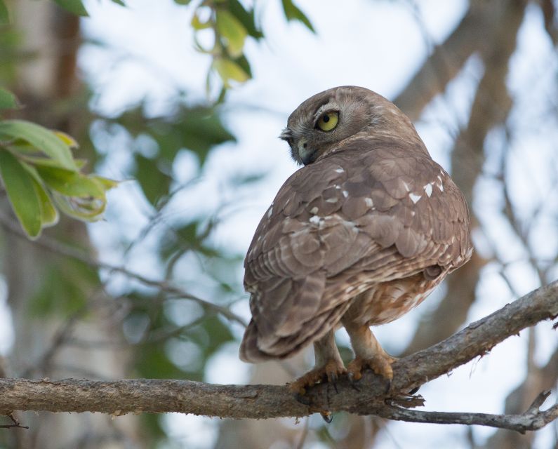 Northern Territory: Corroboree Billabong Nature Cruises - Frequently Asked Questions