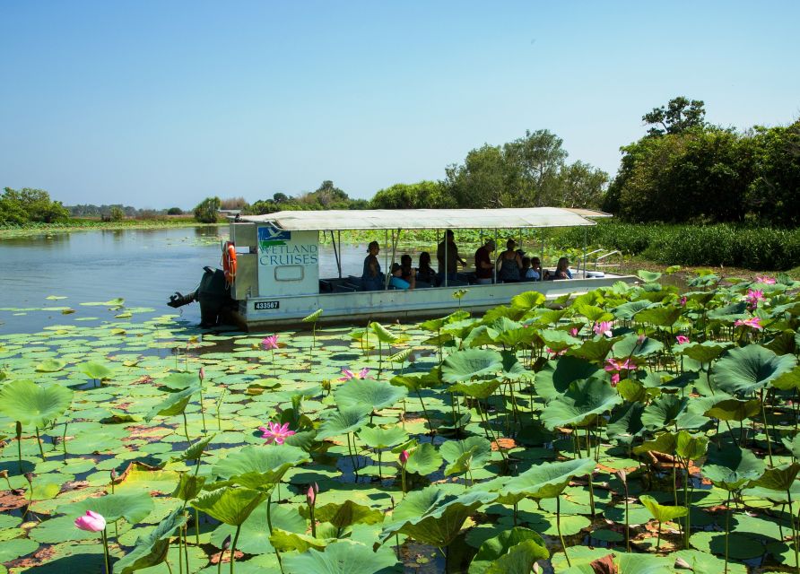 Northern Territory: Corroboree Billabong Nature Cruises - Recap