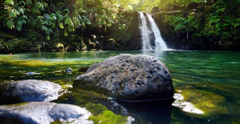 Northshore Maui: Guided Rainforest and Waterfall Walk - Exploring the Details of the Tour