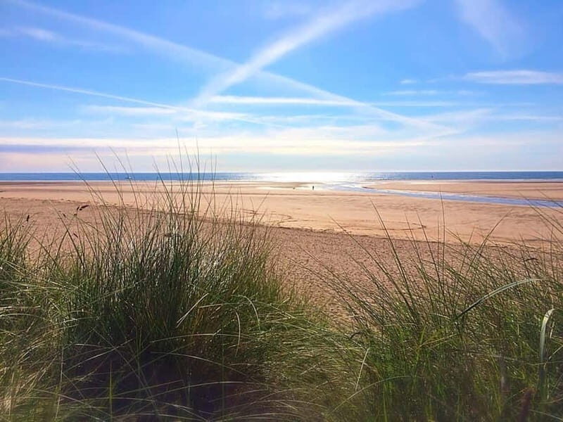 Northumberland: 6 hour Coastal Food Tour - Practical Aspects: Price, Duration, and Booking