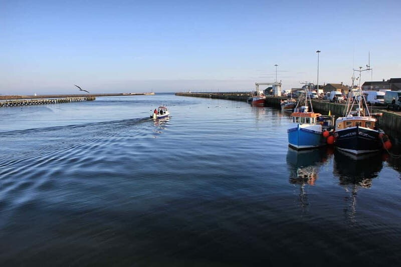 Northumberland: 6 hour Coastal Food Tour - Who Will Love This Tour?