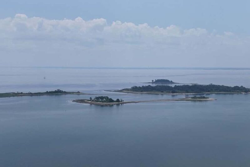 Norwalk: Paddleboard Rental at Calf Pasture Beach - Exploring Norwalk’s Coast on a Paddleboard