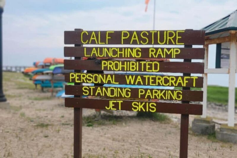Norwalk: Paddleboard Rental at Calf Pasture Beach - What to Bring and Tips for Success