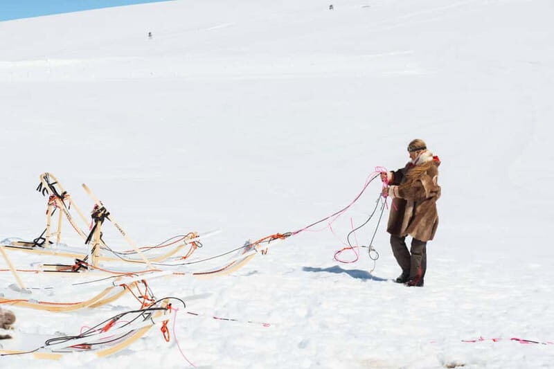 Norway: Half Day Dog Sledding on the Folgefonna Glacier - An In-Depth Look at the Dog Sledding Experience
