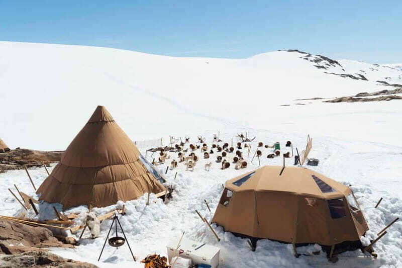 Norway: Husky Camp Visit on top of Folgefonna Glacier - Key Points