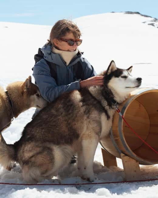 Norway: Husky Camp Visit on top of Folgefonna Glacier - How the Tour Offers Value