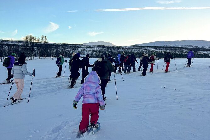 Norway Troms Snowshoe Activity with Guided Tour - Analyzing the Value