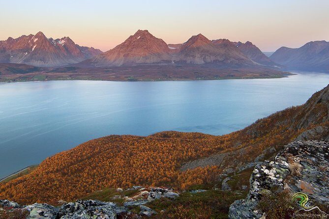 Norwegian Fjords Tour, Including Professional Photos in Tromso - An Honest Look at the Tour Experience