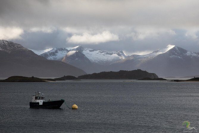 Norwegian Fjords Tour, Including Professional Photos in Tromso - The Practicalities: What Makes This Tour Worth It?