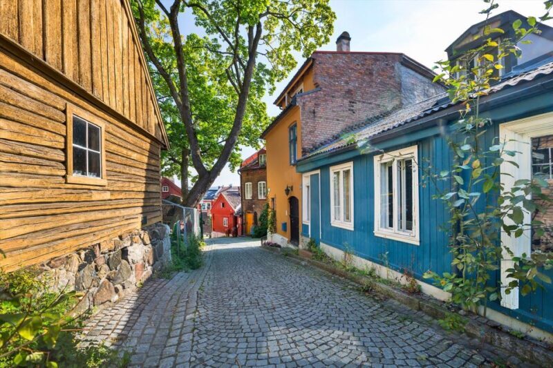 Norwegian Food Tour & Hidden Gems of Oslo - Food and Culture: What You’ll Taste and See