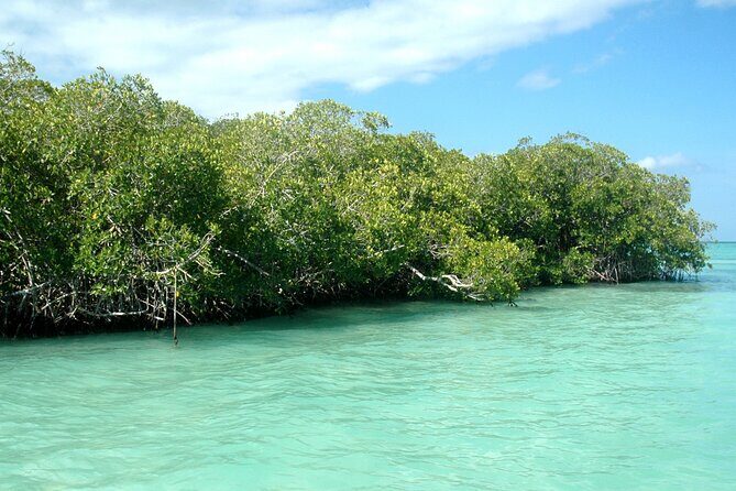 Norwegian Sky at La Romana port: Saona Island - Analyzing Value and Practicalities