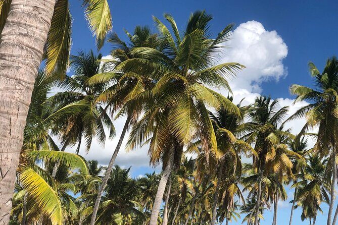 Norwegian Sky at La Romana port: Saona Island - Final Thoughts