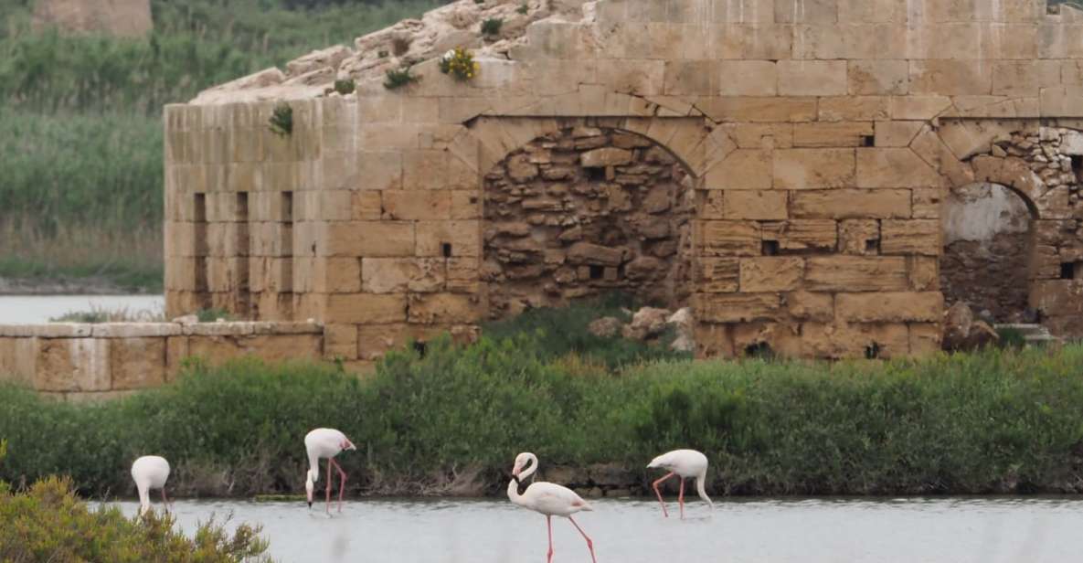 Noto: Guided Trekking and Birdwatching at Vendicari Reserve - Key Points