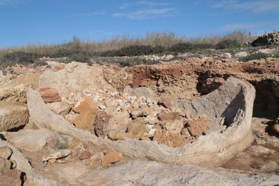 Noto: Guided Trekking and Birdwatching at Vendicari Reserve - Language Support