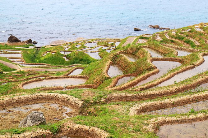 Noto Peninsula 1 Day Photoshoot With Professional Photographer - Guided Tour and Photoshoot