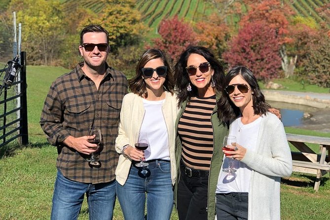 NOVA Private Custom Wine Tours & Tasting From DMV - Accessibility Features