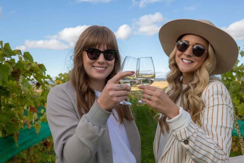 Nova Scotia Annapolis Valley Wine Tour Lead by a Sommelier - What to Expect from the Nova Scotia Annapolis Valley Wine Tour