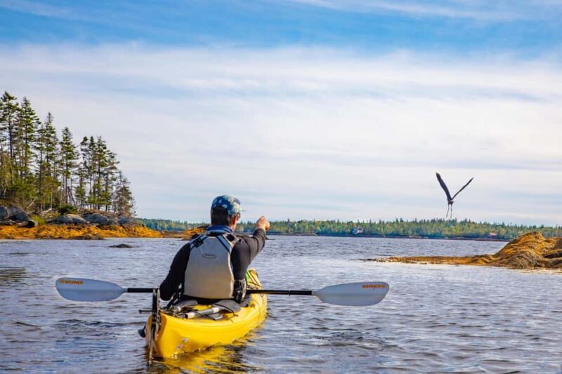 Nova Scotia: Guided Half-Day LaHave Islands Sea Kayak Tour - Key Points