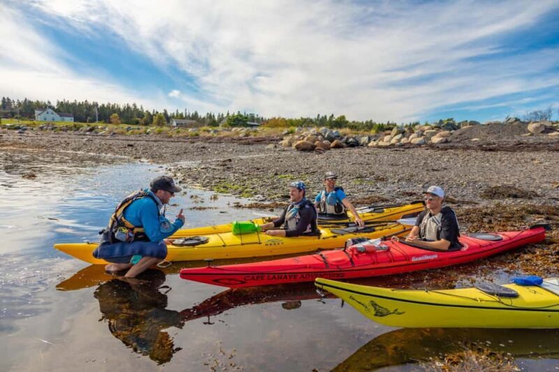 Nova Scotia: Guided Half-Day LaHave Islands Sea Kayak Tour - A Closer Look at the LaHave Islands Sea Kayak Tour