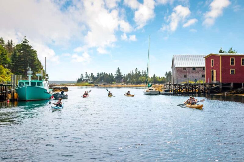 Nova Scotia: Guided Half-Day LaHave Islands Sea Kayak Tour - The Value of This Experience