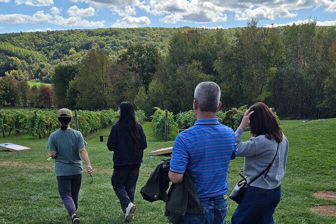 Nova Scotia Wine and Lobster Experience from Halifax - What Makes This Tour Stand Out?