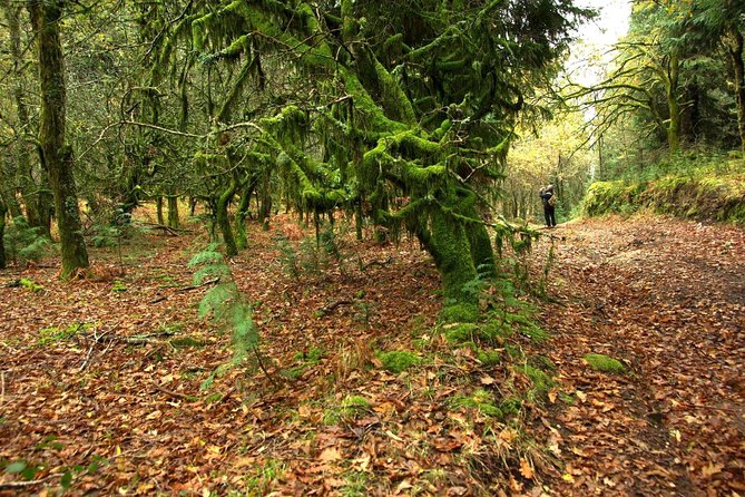 Nozzle Horn Protected Landscape Area - What to Expect During the Tour
