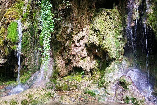 NP Krka waterfalls & Wine tasting - Private day tour from Split - Transportation and Logistics: Comfort and Ease