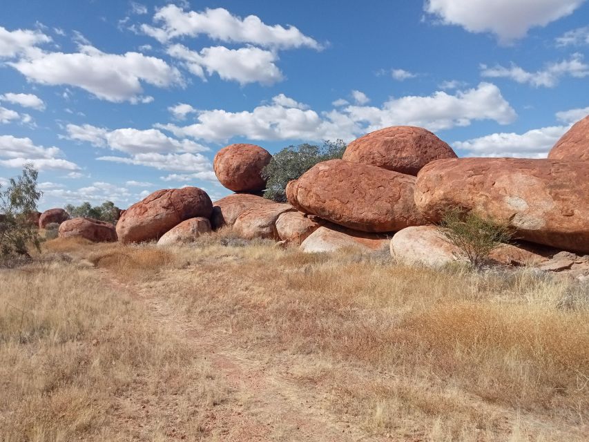 NT Top AdveNTures Charters Vip Customized Tours in the NT - Language Options and Expertise