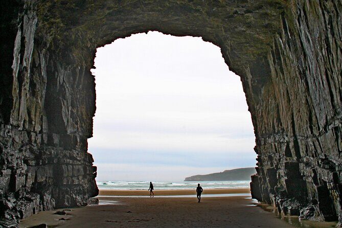 Nugget Point and Cathedral Caves Private Tour from Dunedin - An In-Depth Look at the Tour Experience
